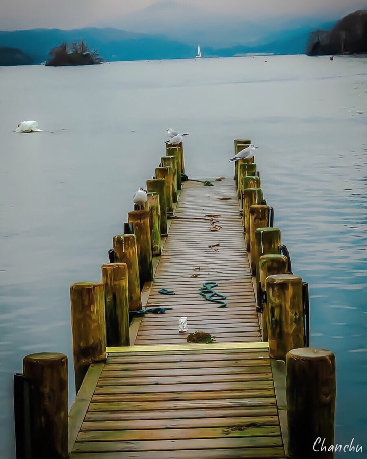 The Dock