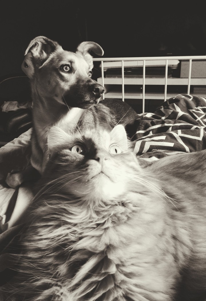 Friends