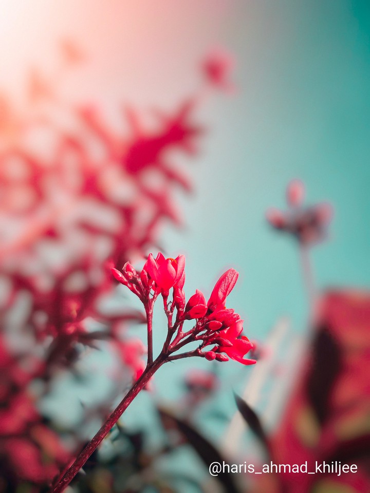 Nature