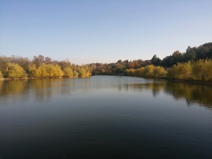 autumn lake