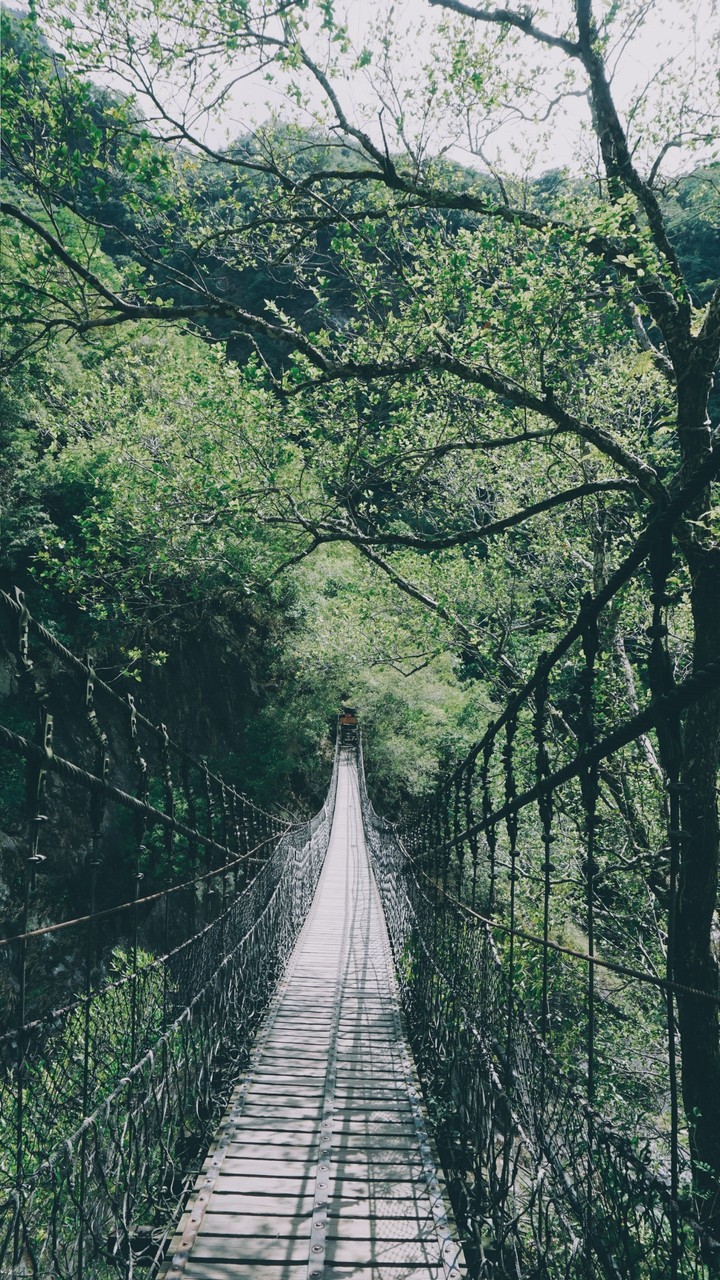 Road to who know where