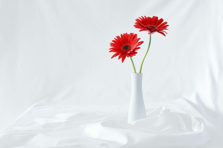 fleur