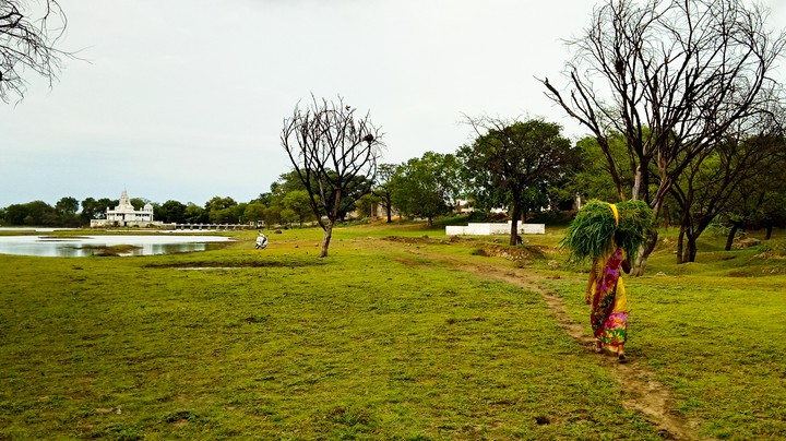 Village
