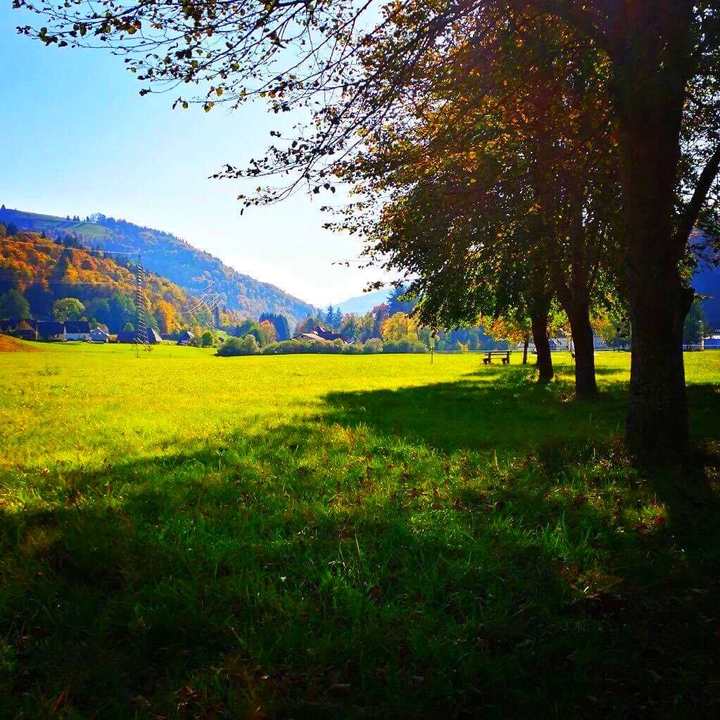 open field