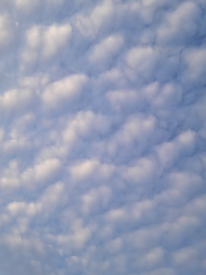 The cloud