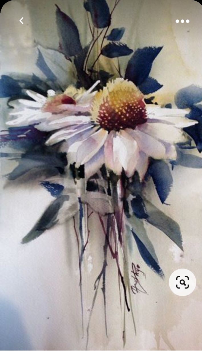 Echinacea