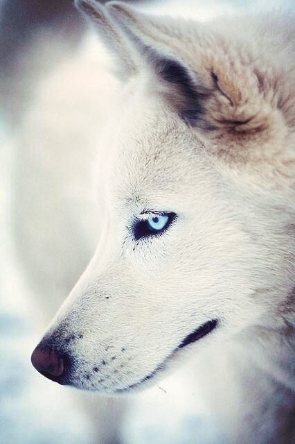 beauty