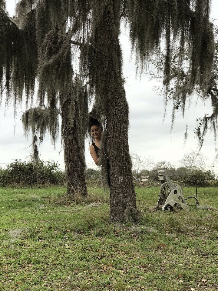 be one with the tree