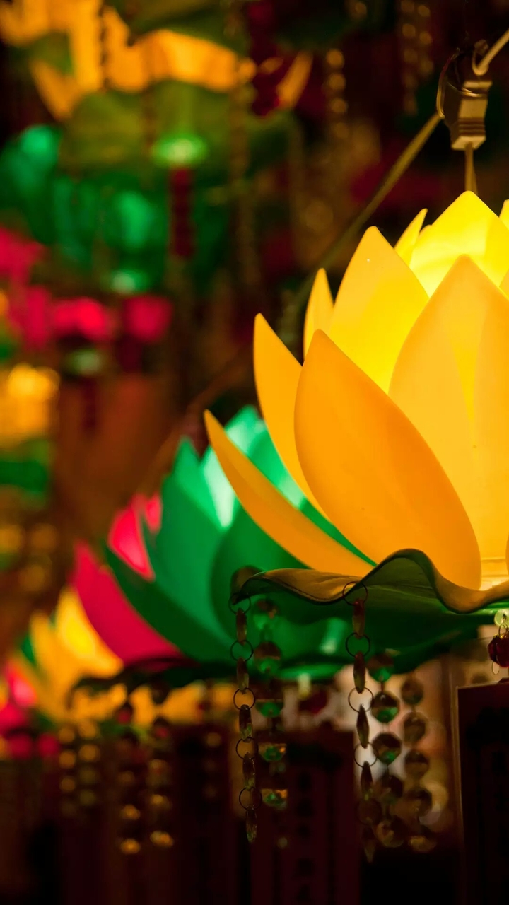 Lotus