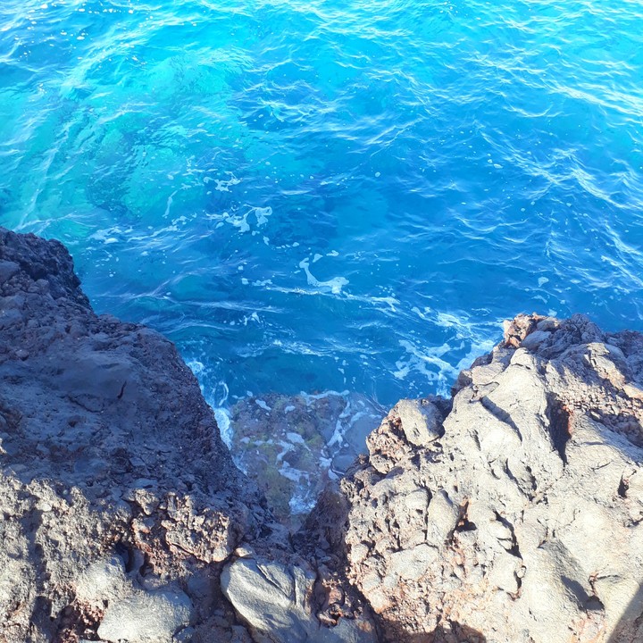 ▪ocean○•°