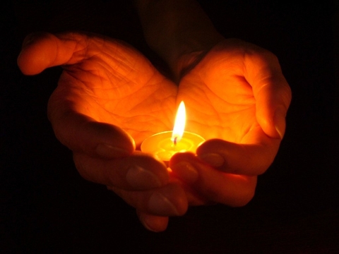 hình nền organ, flame