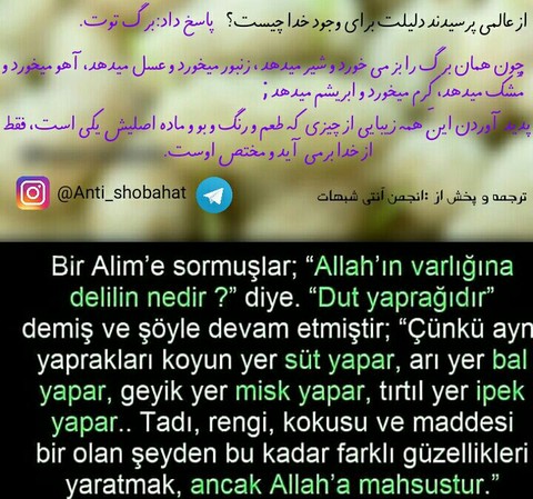 برگ توت هم نشان وجود خداست