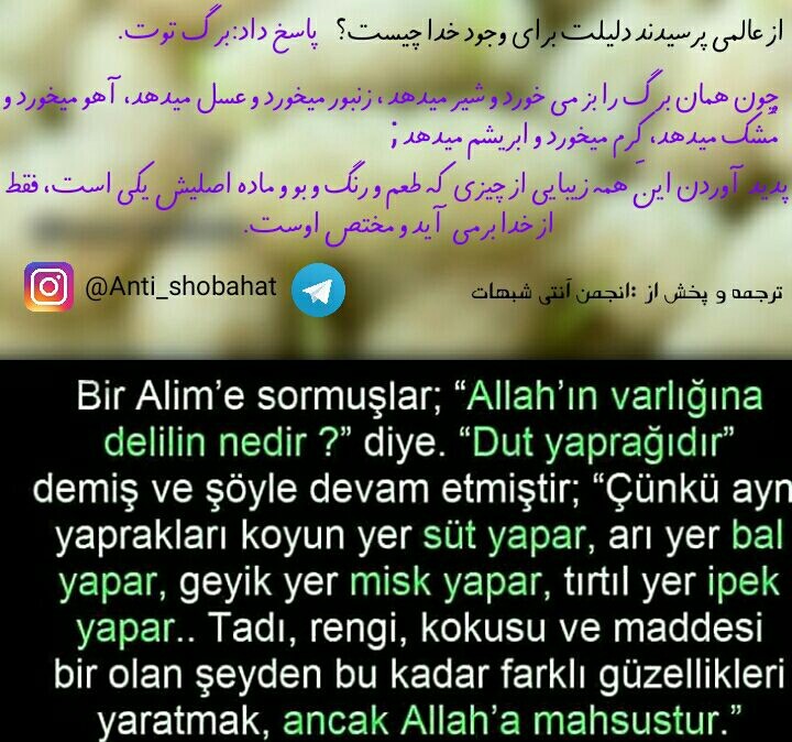 برگ توت هم نشان وجود خداست
