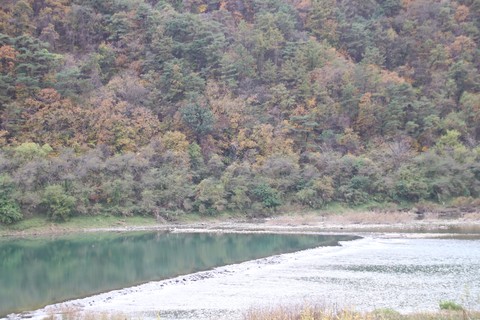 riverside, plant háttérképek