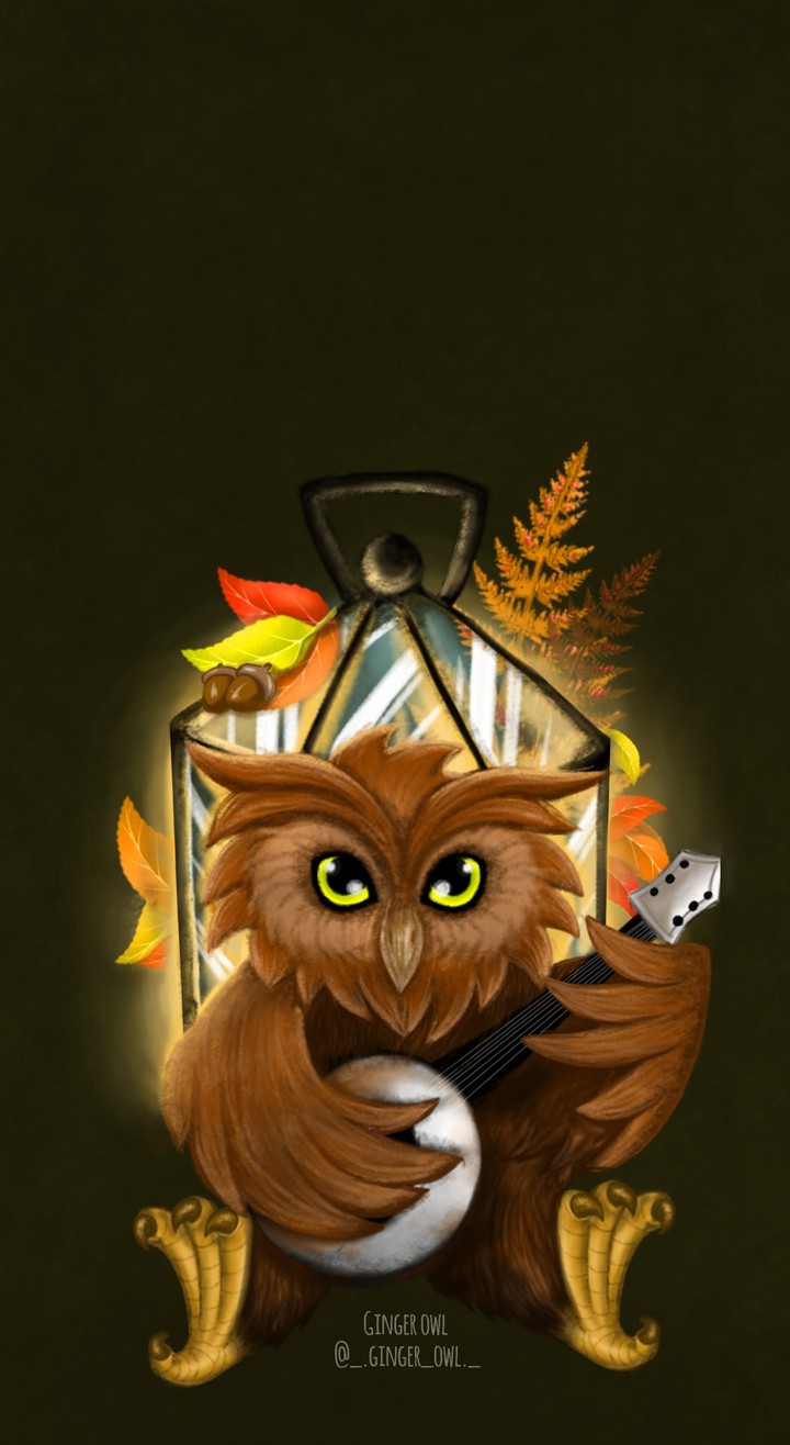Owl