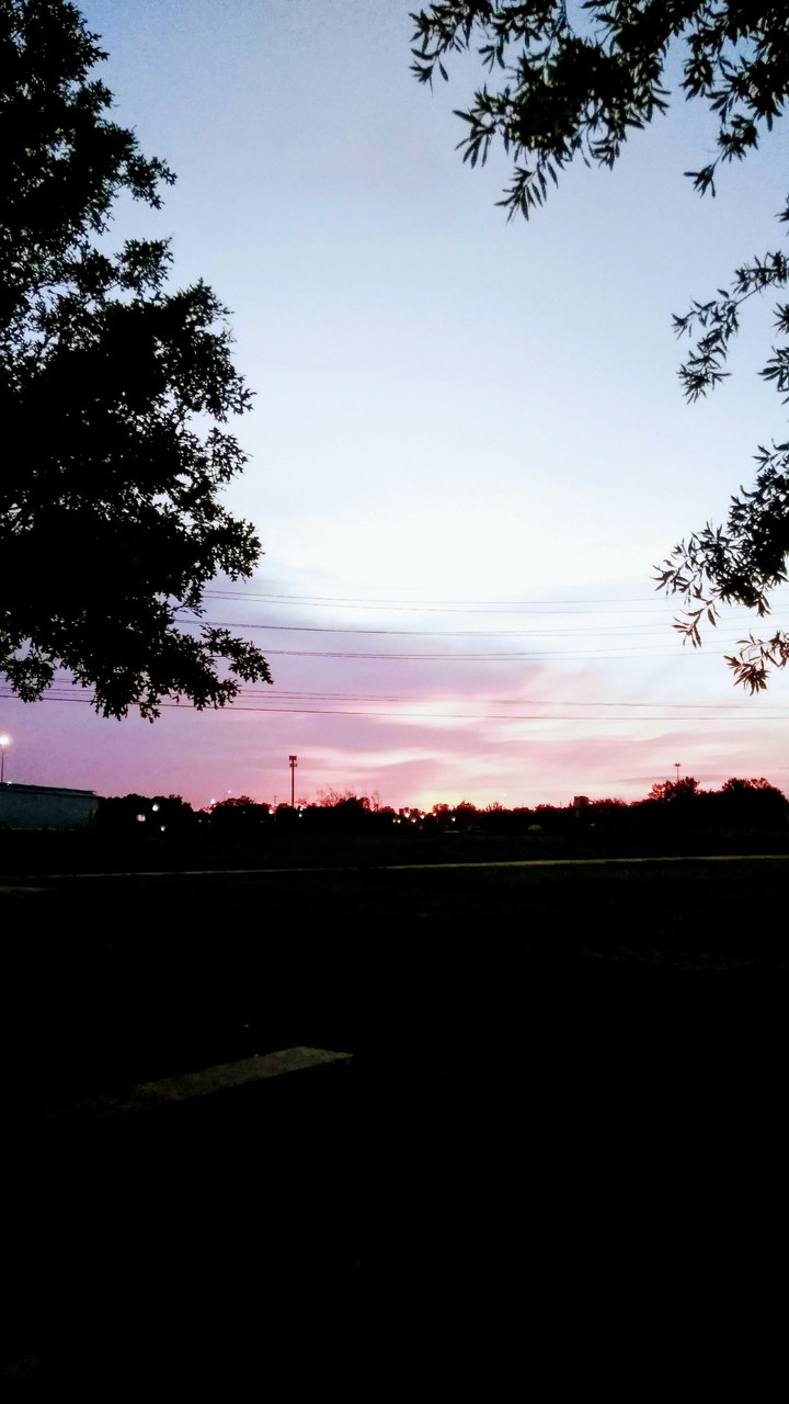 sunset
