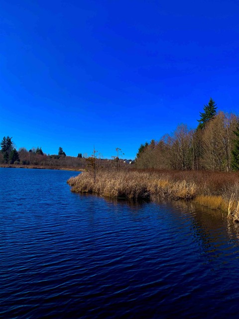 KENT ,WA