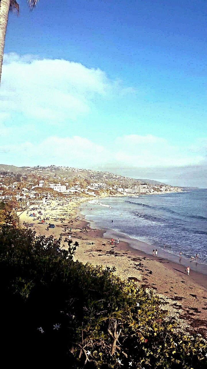 Overview