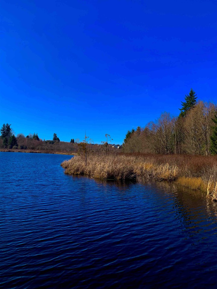 KENT ,WA