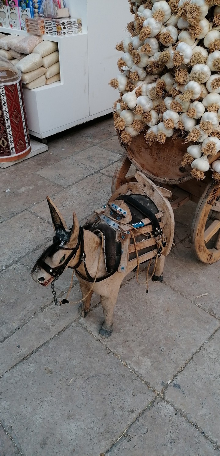 meshur sarımsak Kastamonu