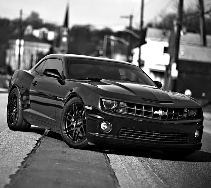 Chevrolet camaro