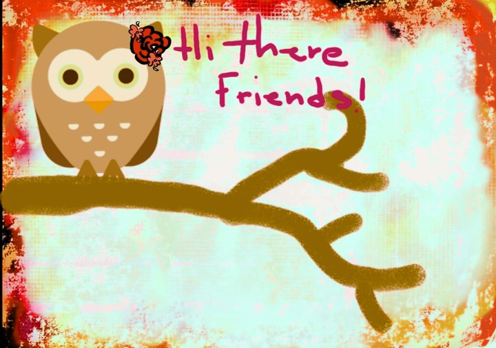 Owls Friend