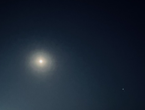 活动, Midnight壁纸