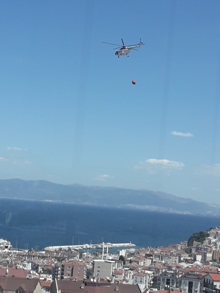 bursa