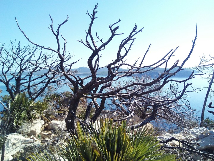 Sardinien