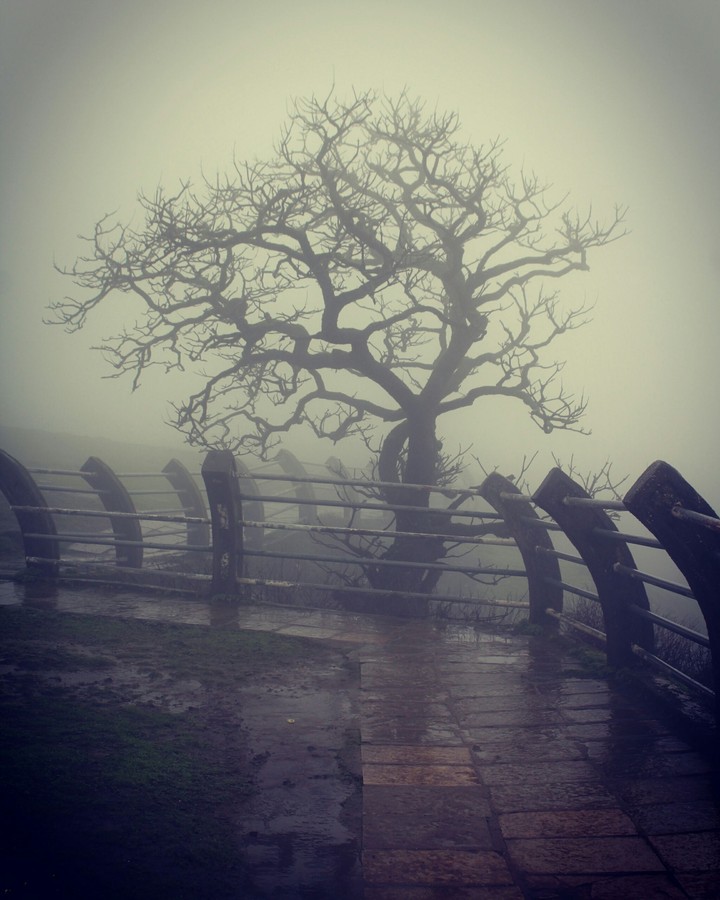 rain
