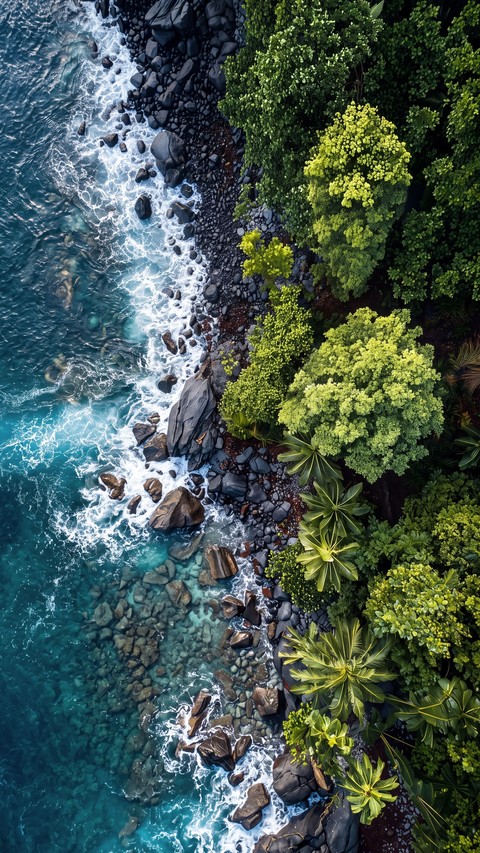 fondos de pantalla coast, jungle