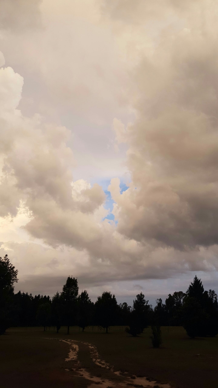 Gathering Storm