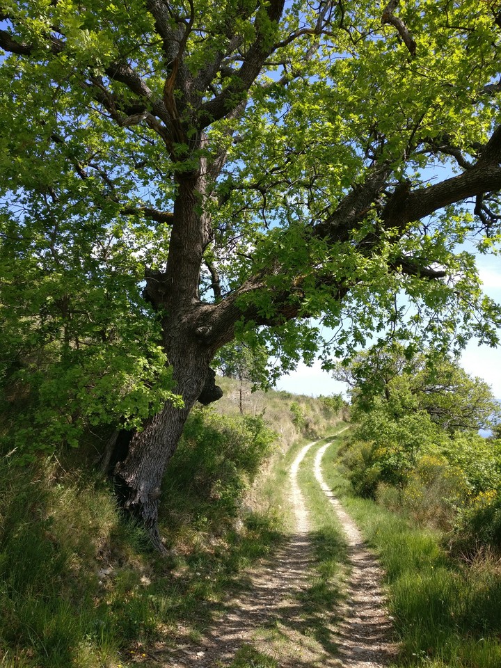 Feel the Nature