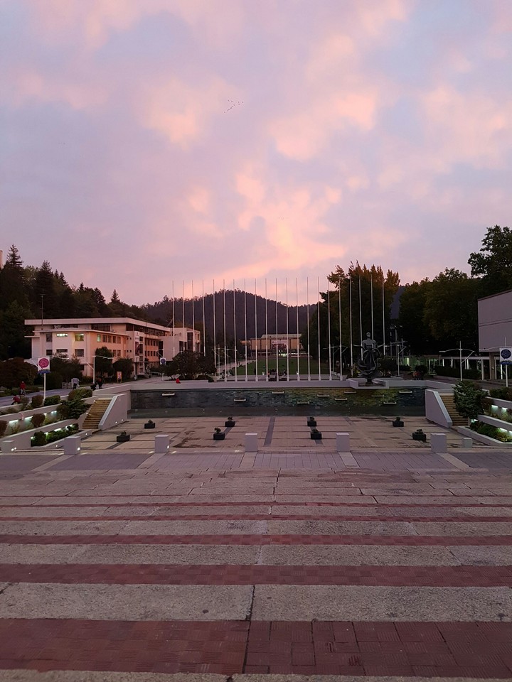 university
