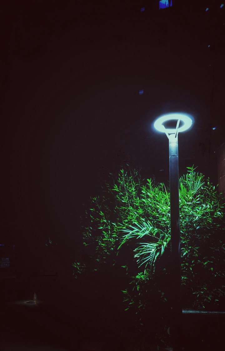 light lamp