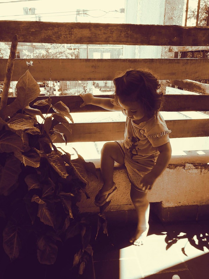 Aneley