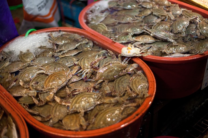 Asia