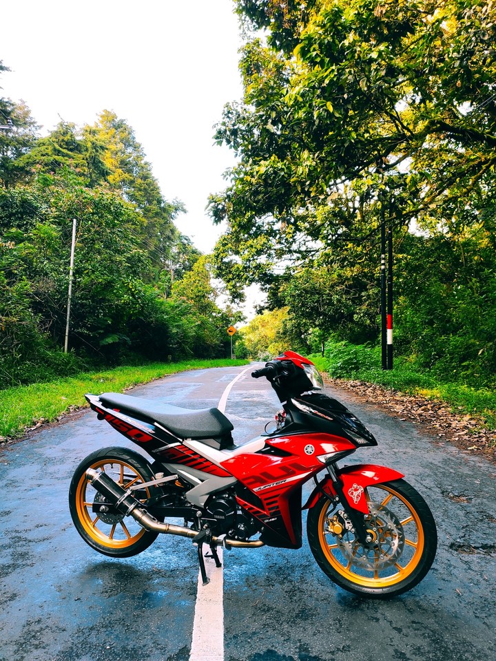 y15zr