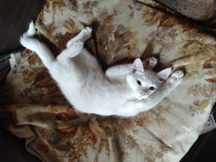 Relax