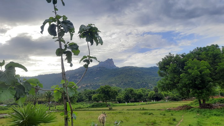 mountain god
