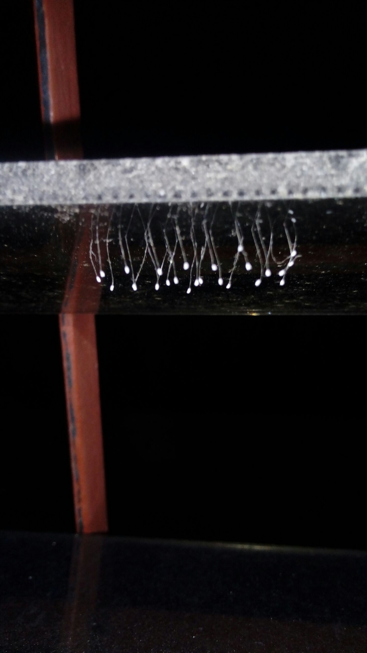 I have no idea that it is but cool