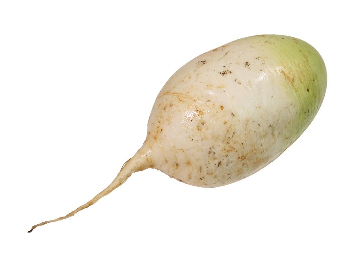 음식이미지