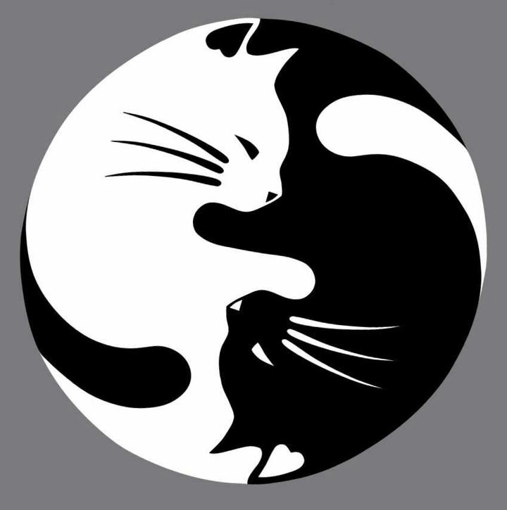 Les chats