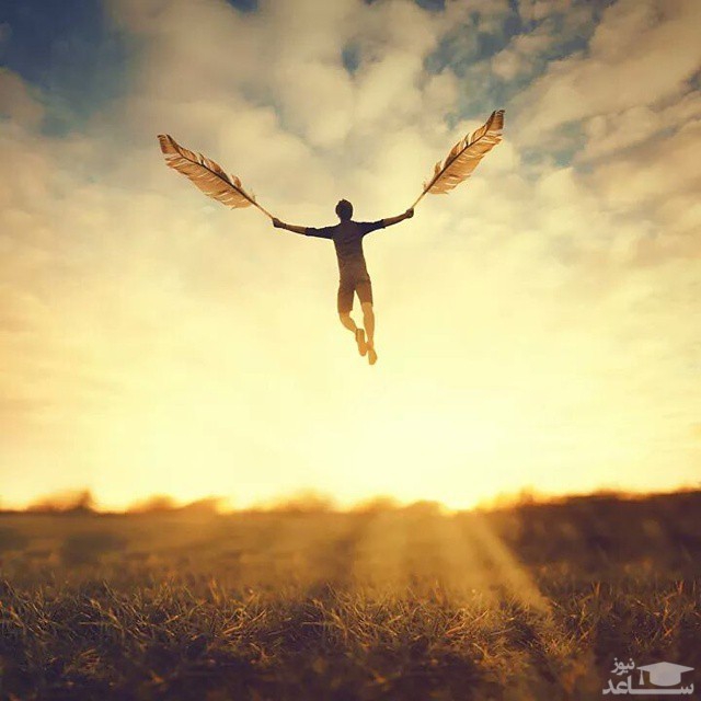 fly