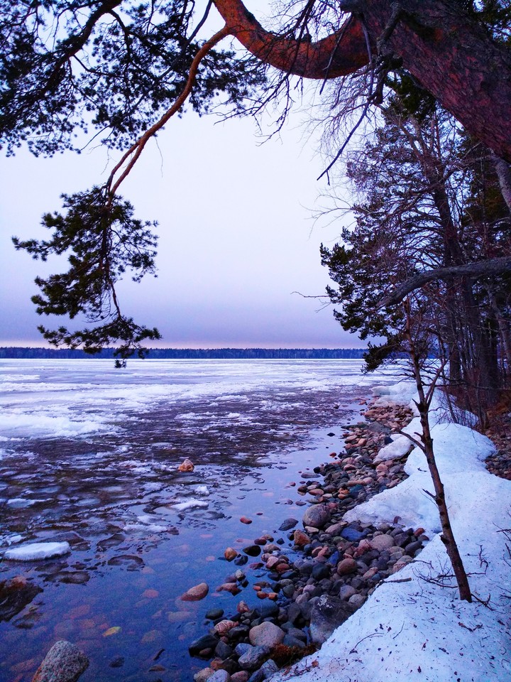 The shore of Lake Onega