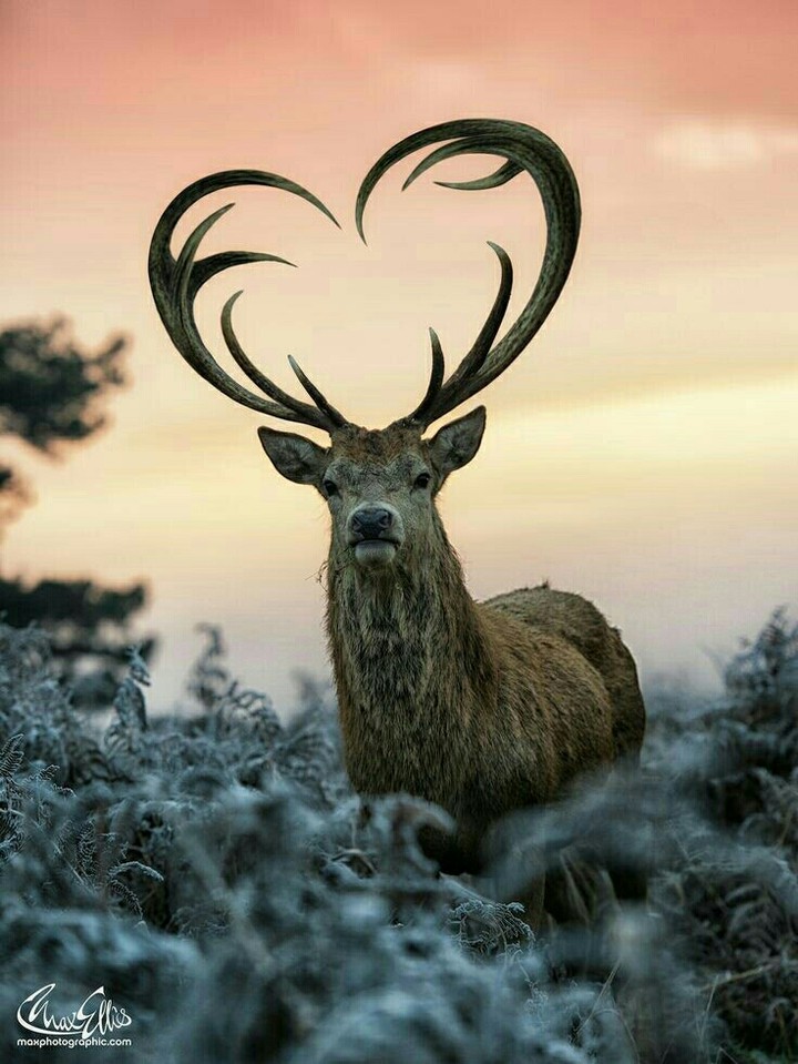 ❤❤❤❤