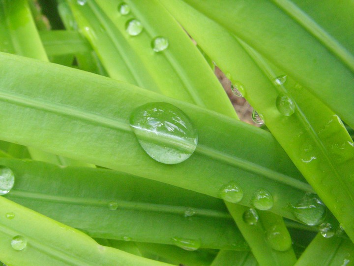 Waterdrop