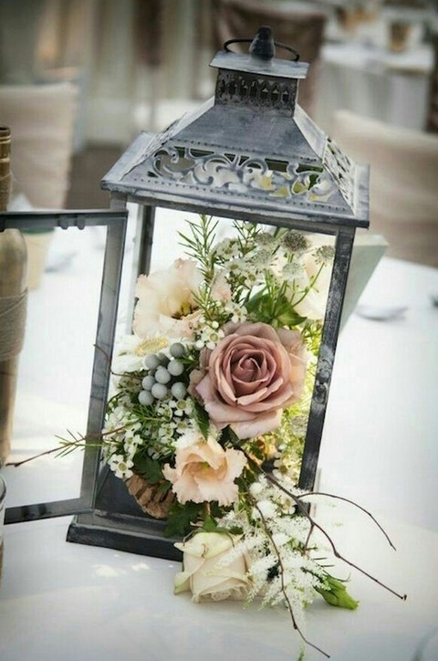 plant, centrepiece वॉलपेपर