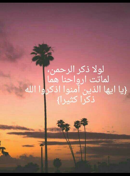 لا اله الا الله