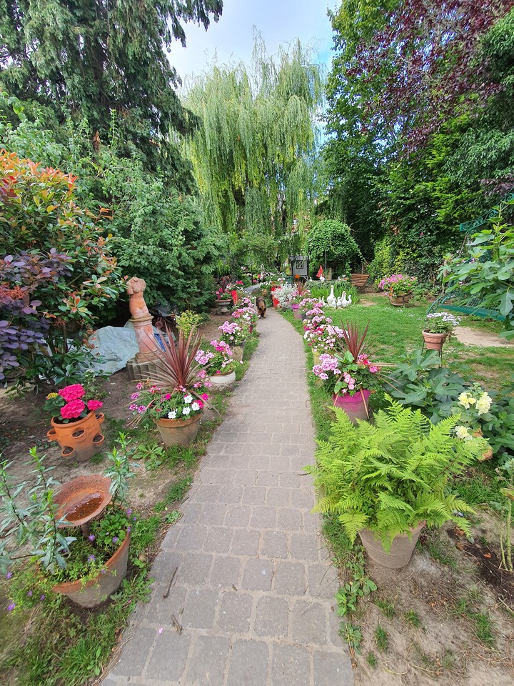 Beautiful garden in Brussels